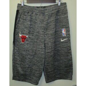 Nike Dri-Fit NBA Chicago Bulls Men's Gray Player Issued Practice Shorts L